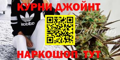 ПСИЛОЦИБИНОВЫЕ ГРИБЫ Аргун