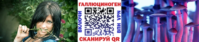 как найти   Петропавловск-Камчатский  Галлюциногенные грибы Magic Shrooms 