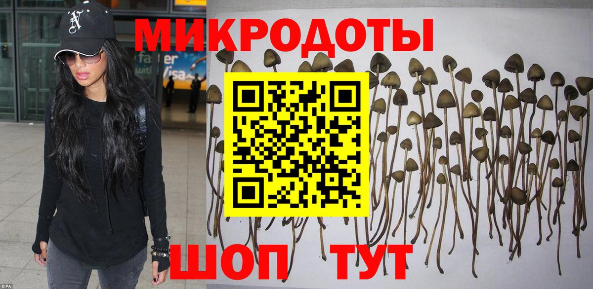 Галлюциногенные грибы мицелий  Вход с VPN  Галлюциногенные грибы Magic Shrooms  Петропавловск-Камчатский 