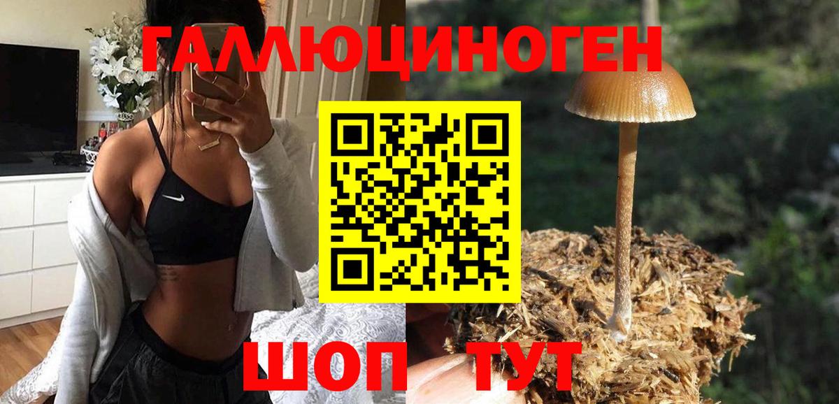 Псилоцибиновые грибы ЛСД  Вход с VPN  Петропавловск-Камчатский 